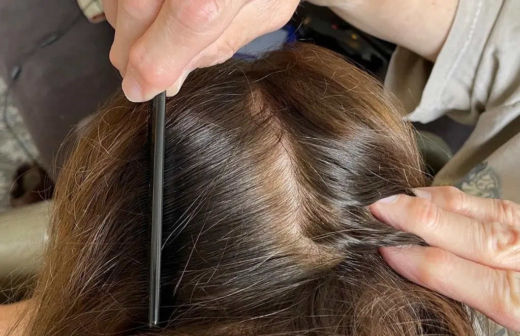 How to Use Lice Comb to Remove Lice and Nits Lice Doctors LiceDoctors